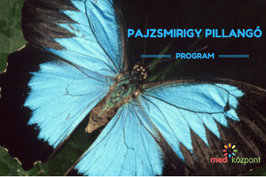 Pajzsmirigy Pillangó Program
